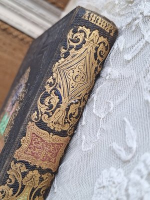 画像10: J.B.J.Champagnacアンティーク本