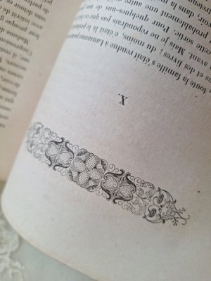 画像24: J.B.J.Champagnacアンティーク本