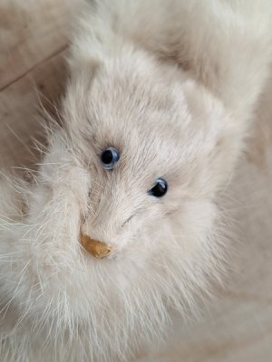 画像9: ヴィンテージリアルファーショール&ハット
