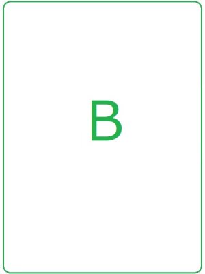 画像18: Epicerieトイオープンシェル