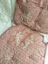 toiledujouyfabric
