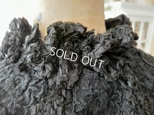 画像8: ヴィクトリアンレースケープ