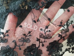 画像14: ヴィクトリアンレースケープ