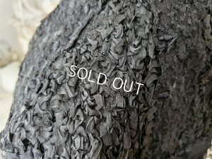 画像9: ヴィクトリアンレースケープ