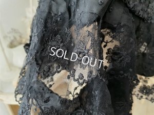 画像11: ヴィクトリアンレースケープ