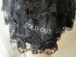 画像10: ヴィクトリアンレースケープ