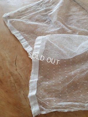 画像11: トッド柄レースカーテン3枚セット