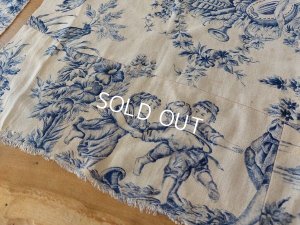 画像11: トワルドジュイ端切れセット