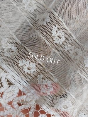 画像8: アンティークレースケープ