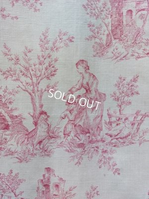 画像6: トワルドジュイ柄カーテン