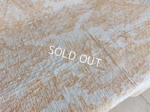 画像11: アンティークトワルドジュイ柄キルト