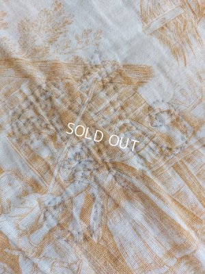 画像5: アンティークトワルドジュイ柄キルト