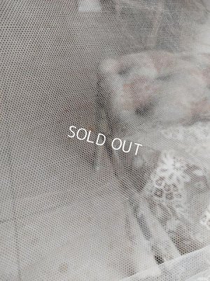 画像27: アンティークニードルレーススカーフ付ドレス