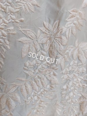 画像13: エドワ―ディアン期ロココ装飾ドレス