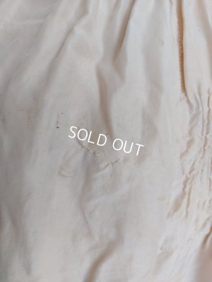 画像19: エドワ―ディアン期ロココ装飾ドレス