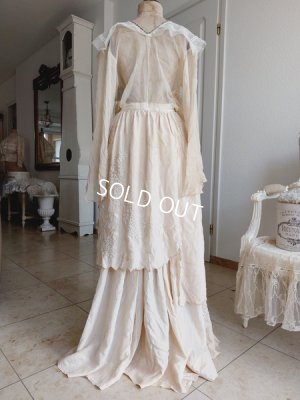 画像3: エドワ―ディアン期ロココ装飾ドレス