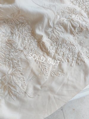 画像14: エドワ―ディアン期ロココ装飾ドレス