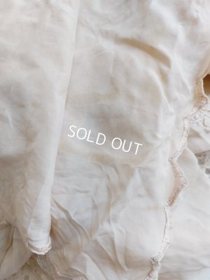 画像27: エドワ―ディアン期ロココ装飾ドレス