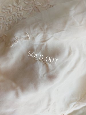 画像31: エドワ―ディアン期ロココ装飾ドレス