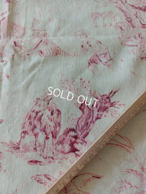 画像26: アンティークトワルドジュイ端切れ