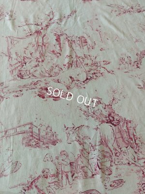 画像41: アンティークトワルドジュイ端切れ