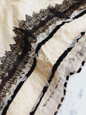 画像14: ヴィクトリアンボディス