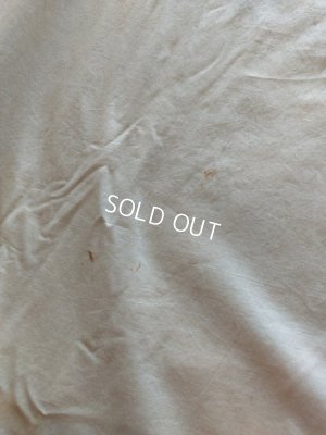 画像17: アンティークローズ柄フレンチカーテン(235×204)