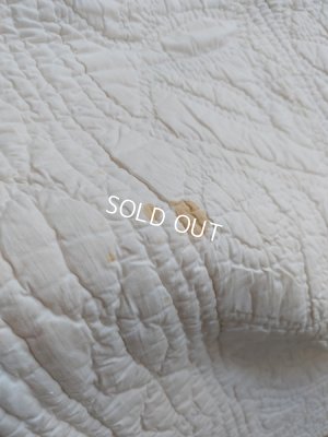 画像13: アンティークフレンチキルト　