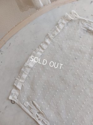 画像11: アンティークトッド柄レースカーテン