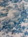 antiquetoiledejouyfabric