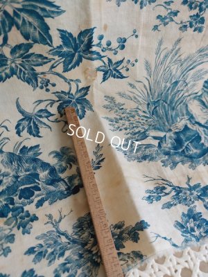 画像12: アンティークトワルドジュイ柄はぎれ