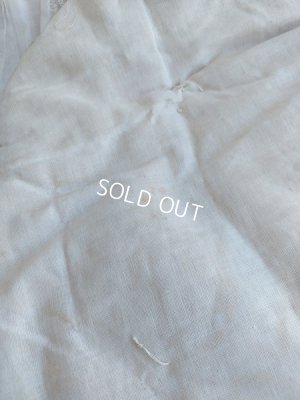 画像4: アンティークバッスルパッド