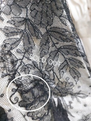 画像26: アンティーク総レースボディス