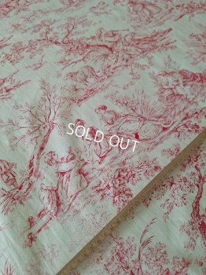 画像12: アンティークトワルドジュイ柄生地