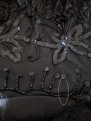 画像25: ヴィクトリアンレースケープ