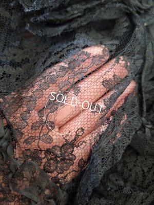画像27: ヴィクトリアンレースケープ