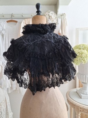 画像23: ヴィクトリアンレースケープ