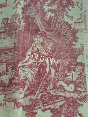 画像22: アンティークトワルドジュイ生地