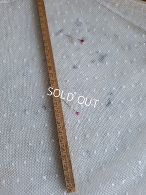 画像4: トッド柄レースカーテン