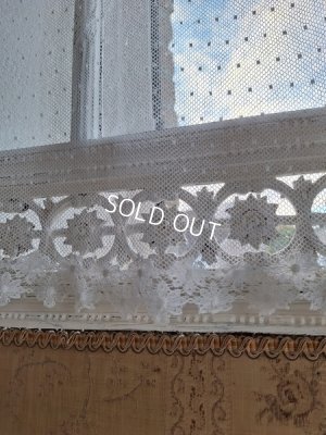画像6: トッド柄レースカーテン
