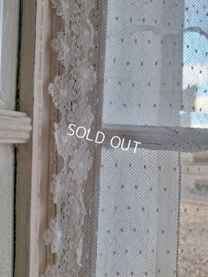 画像7: トッド柄レースカーテン