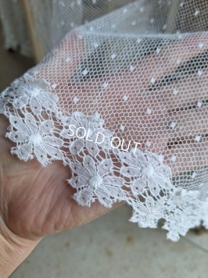 画像9: トッド柄レースカーテン