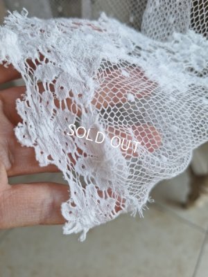 画像16: トッド柄レースカーテン