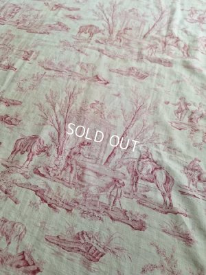 画像10: アンティークリネントワルドジュイ柄生地