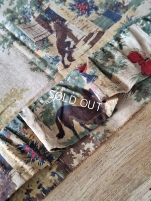 画像10: 赤ずきんちゃん柄生地