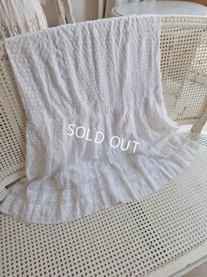 画像3: アンティークペチコート