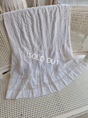 画像8: アンティークペチコート