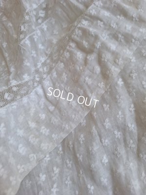 画像13: アンティークペチコート