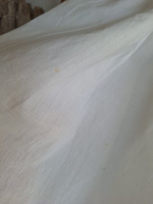 画像16: アンティーク洗礼式用ドレス