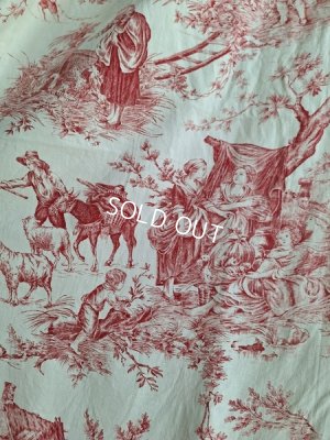 画像6: トワルドジュイ柄カーテン